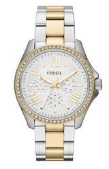 Fossil Cecile White Dial Two Tone Steel Strap Watch for Women - AM4543 Buy Now By Fossil