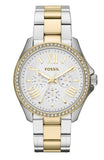 Fossil Cecile White Dial Two Tone Steel Strap Watch for Women - AM4543