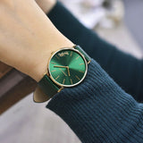 Coach Perry Green Dial Green Leather Strap Watch for Women - 14503383-C Buy Now By Coach