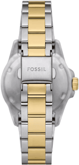 Fossil Blue Dive Three Hand Black Dial Two Tone Steel Strap Watch For Women - ES5349 Buy Now By Fossil