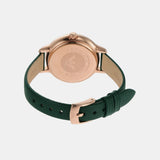 Emporio Armani Pro Planet Analog Silver Dial Green Leather Strap Watch For Women - AR11517 Buy Now By Emporio Armani