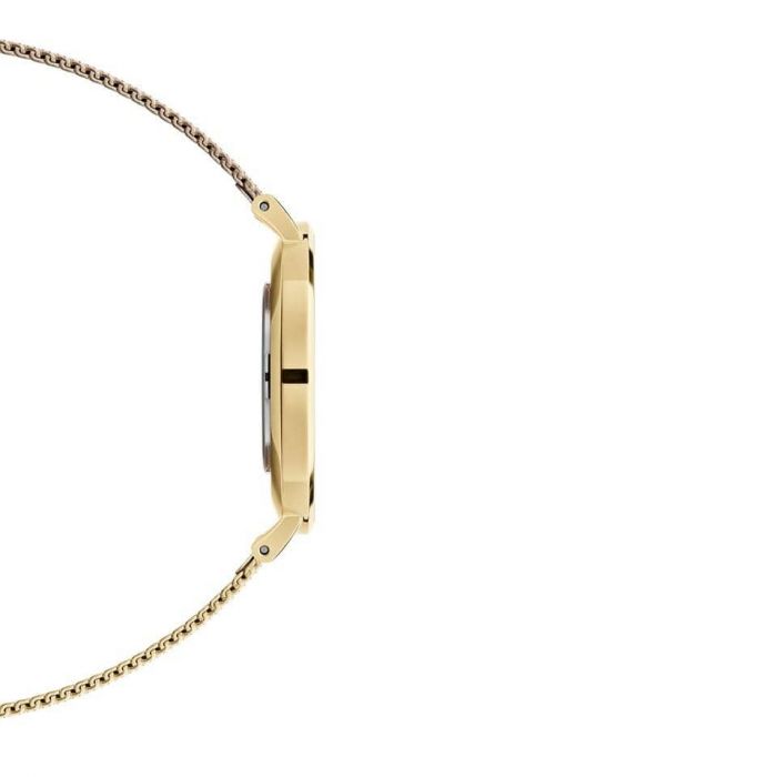 Daniel Wellington Classic Petite Evergold White Dial Gold Mesh Bracelet Watch For Women - DW00100346 Buy Now By Daniel Wellington