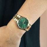 Daniel Wellington Iconic Link Emerald Green Dial Rose Gold Steel Strap Watch For Women - DW00100419 Buy Now By Daniel Wellington