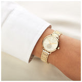 Michael Kors Portia Quartz Gold Dial Gold Steel Strap Watch For Women - MK3838 Buy Now By Michael Kors