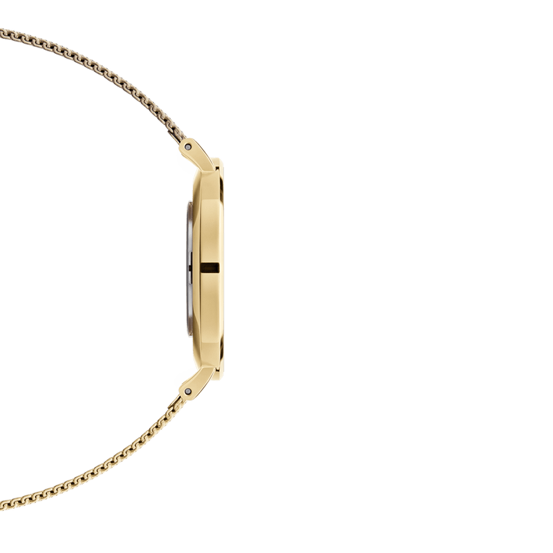 Daniel Wellington Classic Petite Evergold White Dial Gold Mesh Bracelet Watch For Women - DW00100350 Buy Now By Daniel Wellington