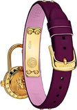 Versace Medusa Lock Icon Gold Dial Red Leather Strap Watch for Women - VEDW00319