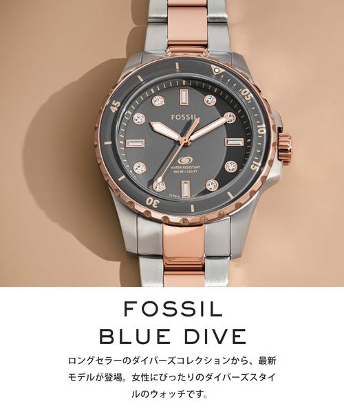 Fossil Blue Dive Three Hand Gray Dial Two Tone Steel Strap Watch For Women - ES5348 Buy Now By Fossil