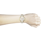 Hugo Boss Flawless Silver Dial Two Tone Steel Strap Watch for Women - 1502550 Buy Now By Hugo Boss