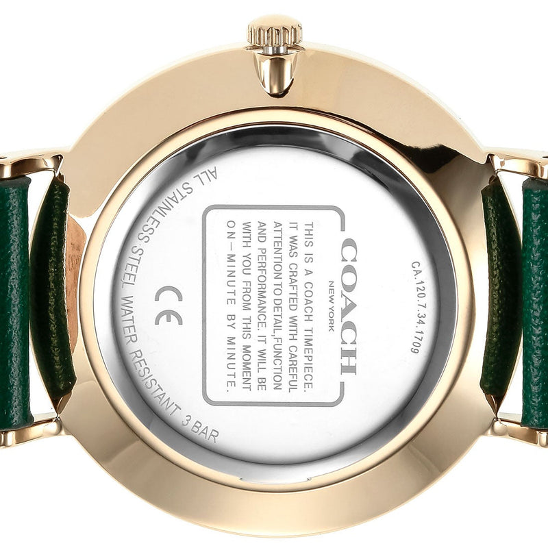 Coach Green Dial Green Leather Strap Watch for Women - 14503383 Buy Now By Coach