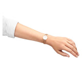 Shop Daniel Wellington Petite Pressed Melrose White Dial Gold Mesh Bracelet Watch For Women - DW00100447 in USA