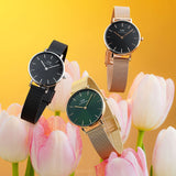Daniel Wellington Petite Emerald Green Dial Gold Mesh Strap Watch For Women - DW00100480 Buy Now By Daniel Wellington