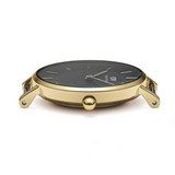 Daniel Wellington Classic Petite Evergold Black Dial Gold Mesh Bracelet Watch For Women - DW00100349 Buy Now By Daniel Wellington