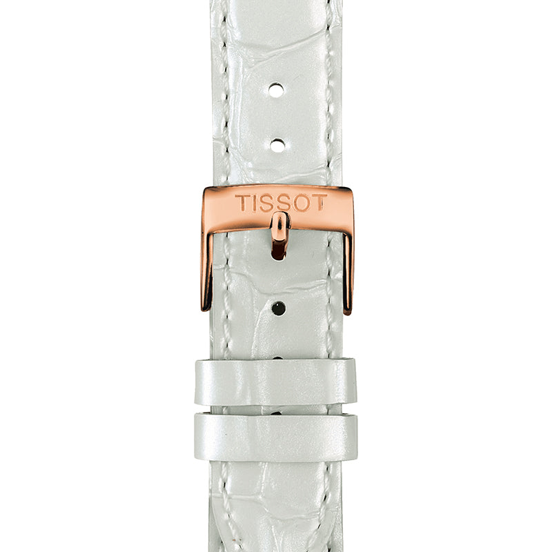 Tissot T Classic PR 100 Lady Silver Dial Watch For Women - T101.210.36.031.01 Buy Now By Tissot