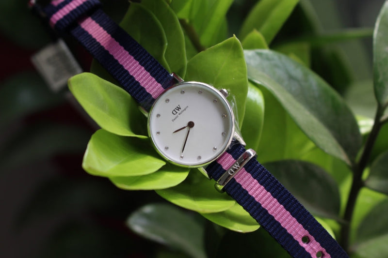 Daniel Wellington Classy Winchester White Dial Two Tone NATO Strap Watch For Women - DW00100073 Buy Now By Daniel Wellington