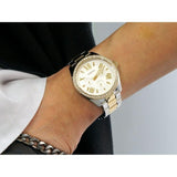 Fossil Cecile White Dial Two Tone Steel Strap Watch for Women - AM4543 Buy Now By Fossil