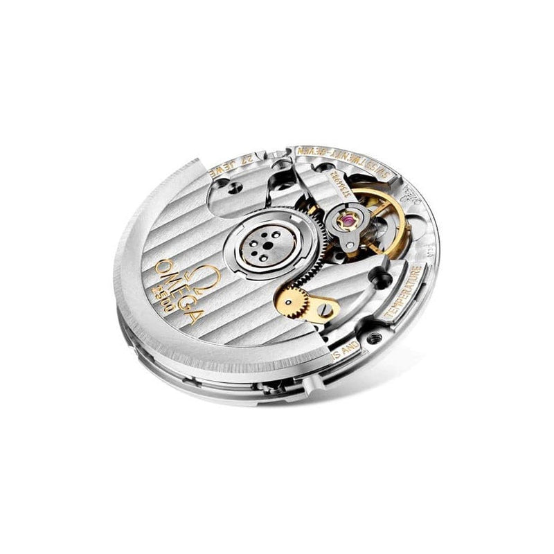 Shop Omega De Ville Prestige Co Axial Silver Dial Silver Steel Strap Watch for Men - 424.10.40.20.02.004 in USA