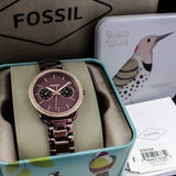 Fossil Tailor Analog Brown Dial Brown Steel Strap Watch for Women - ES4258 Buy Now By Fossil