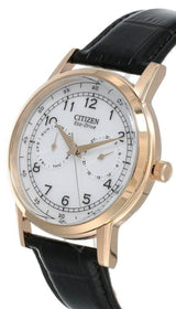 Citizen Watch Eco Drive Day & Date White Dial Black Leather Strap Watch For Men - AO9003-16A Buy Now By Citizen