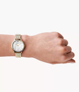 Emporio Armani Dress Analog Mother of Pearl Dial Gold Steel Strap Watch For Women - AR11007 Buy Now By Emporio Armani
