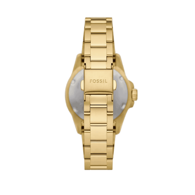 Fossil Blue Dive Three Hand White Dial Gold Steel Strap Watch For Women - ES5350 Buy Now By Fossil