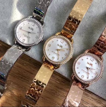 Coach Delancey Diamonds Silver Dial Gold Steel Strap Watch for Women - 14502354 Buy Now By Coach