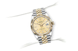 Shop Rolex Datejust 36mm Champagne Dial Two Tone Steel Strap Watch for Men - M126233-0015 in USA