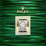 Shop Rolex Datejust 41 Oyster White Dial Oystersteel & White Gold Steel Strap Watch for Men - M126334-0009 in USA