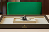 Shop Rolex Submariner Date 41 Oyster Black Dial Two Tone Oystersteel & Yellow Gold Strap Watch for Men - M126613LN-0002 in USA