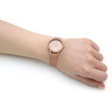 Daniel Wellington Petite Rose Gold Dial Rose Gold Mesh Bracelet Watch For Women - DW00100471 Buy Now By Daniel Wellington