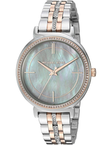 Michael Kors Cinthia Mother of Pearl Grey Dial Two Tone Steel Strap Watch for Women - MK3642 Buy Now By Michael Kors