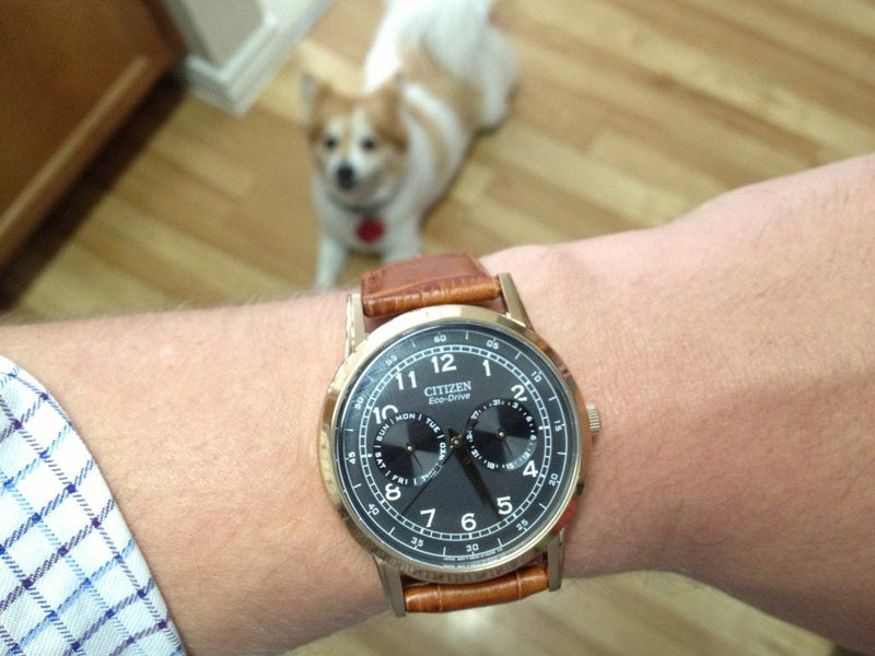 Citizen Eco Drive Multi Function Day & Date Black Dial Brown Leather Strap Watch For Men - AO9003-08E Buy Now By Citizen