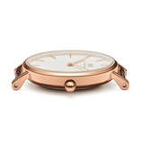 Daniel Wellington Classic Petite Cornwall White Dial Green NATO Strap Watch For Women - DW00100253 Buy Now By Daniel Wellington
