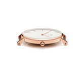 Daniel Wellington Classic Petite Cornwall White Dial Green NATO Strap Watch For Women - DW00100253 Buy Now By Daniel Wellington