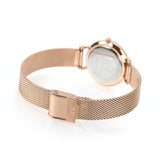 Daniel Wellington Petite Amber Brown Dial Gold Mesh Strap Watch For Women - DW00100476 Buy Now By Daniel Wellington