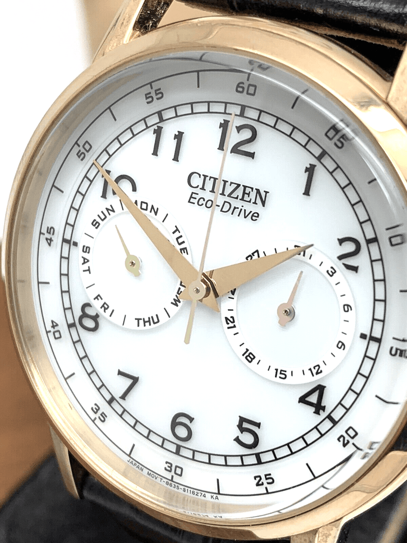 Citizen Watch Eco Drive Day & Date White Dial Black Leather Strap Watch For Men - AO9003-16A Buy Now By Citizen